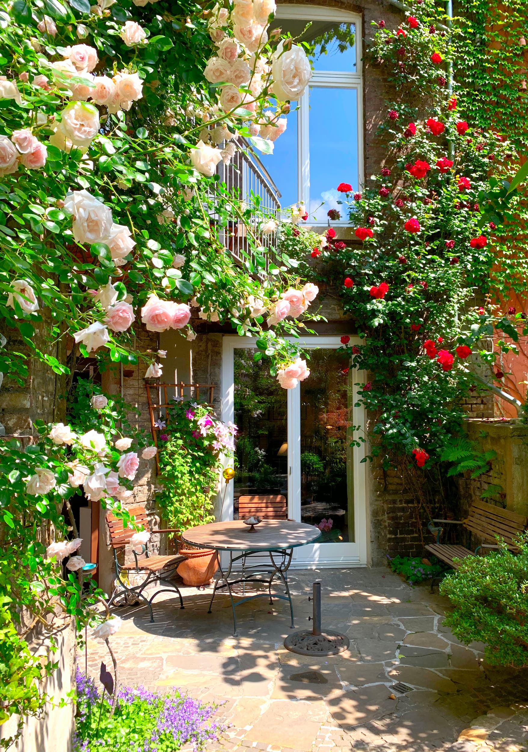 Grüner romantischer Innenhof mit vielen blühenden Rosen